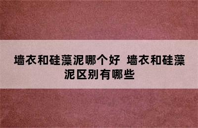 墙衣和硅藻泥哪个好  墙衣和硅藻泥区别有哪些